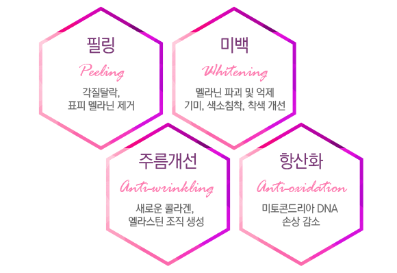 ����� ȿ��